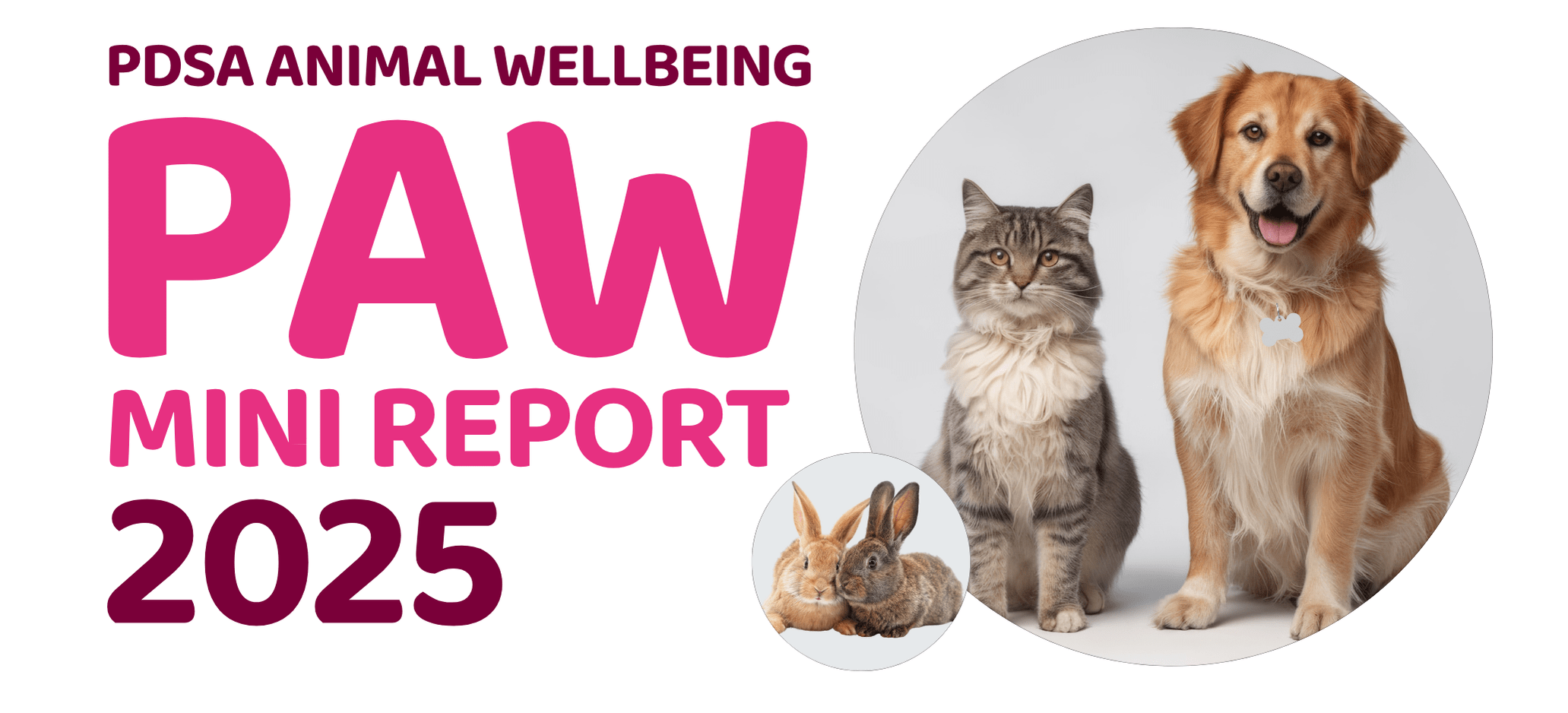 The front cover image of the PAW Mini Report 2025